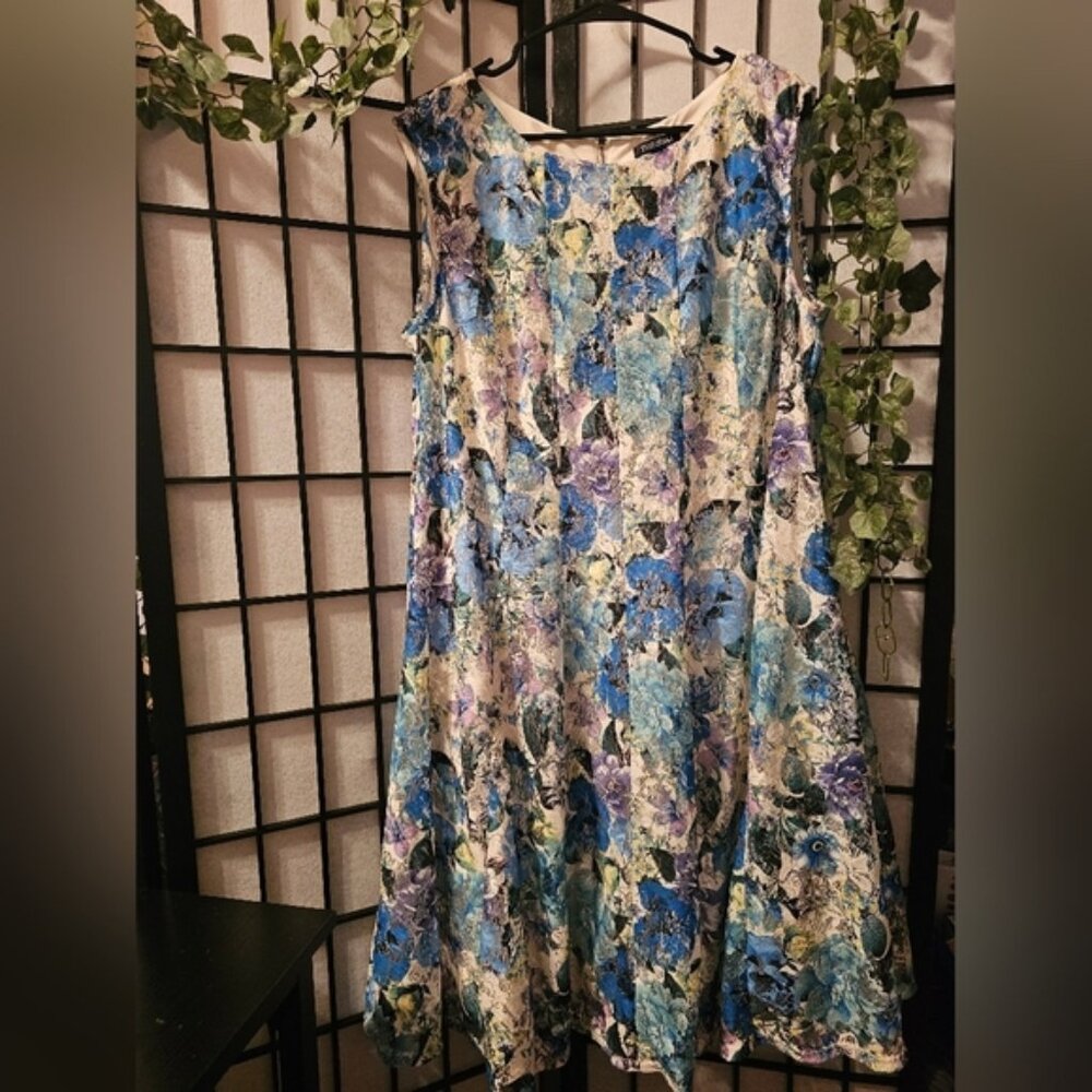 Roz & Ali Floral Lace Embroidered Fit & Flare Sleeveless Dress Boat Neck Size 16